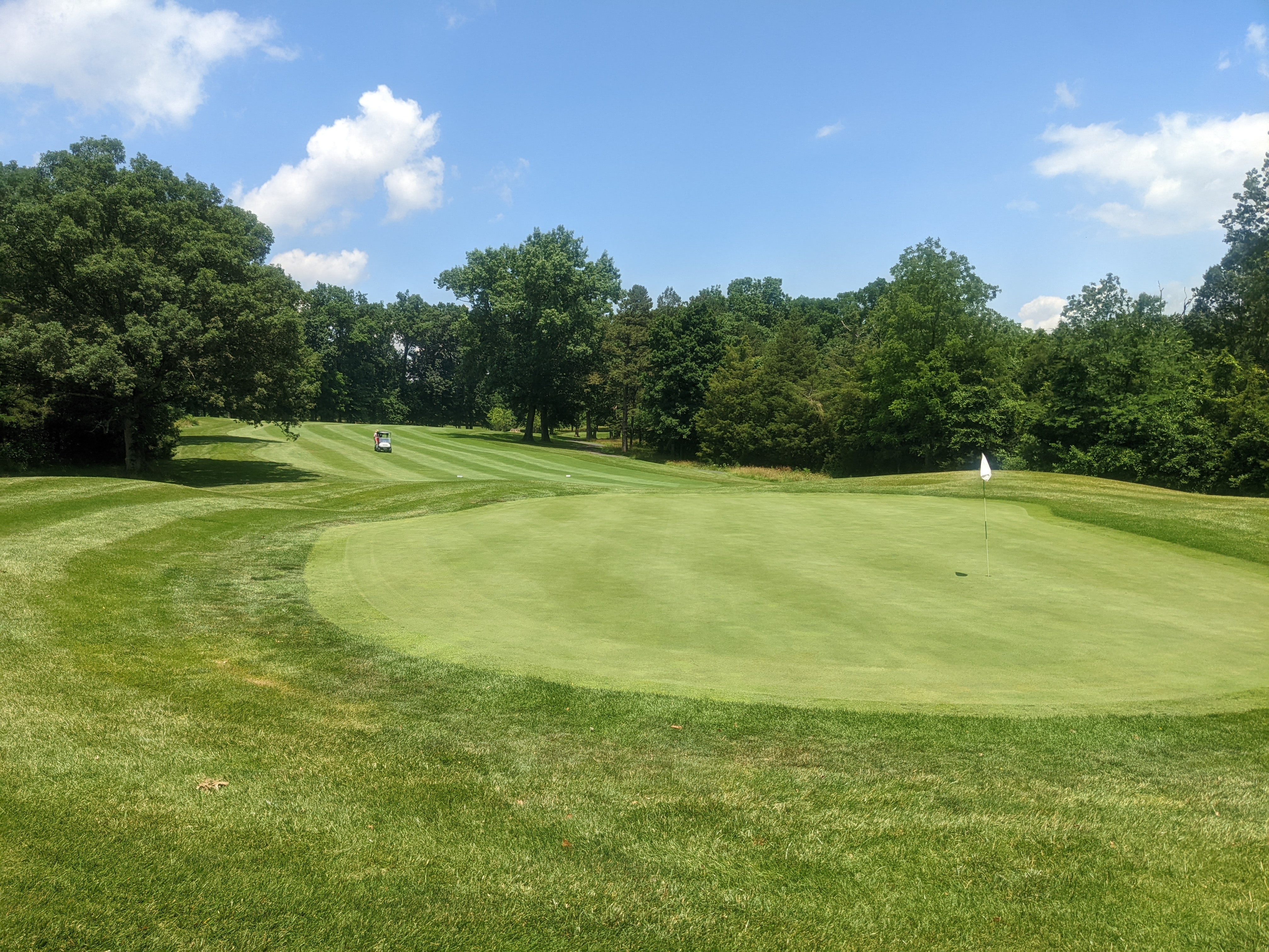 view of golf course green